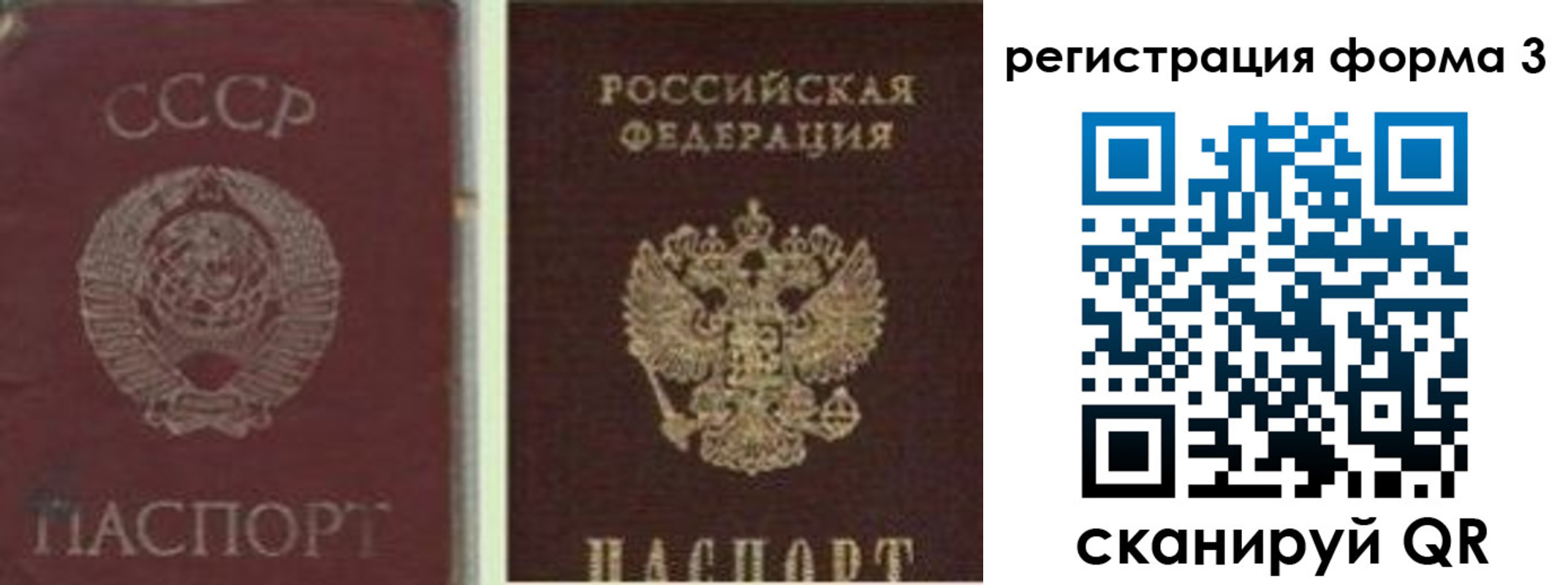прописка для школы в Истре